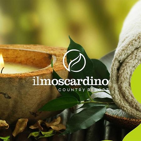 Il Moscardino Country Resort Serra San Bruno Eksteriør billede